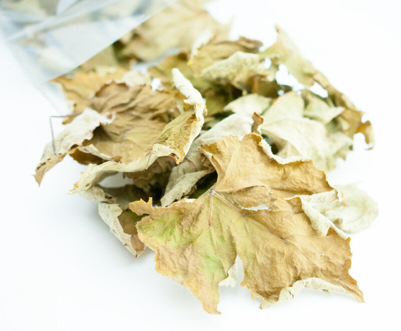 Herbstblatt
