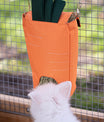 Heuraufe carrot