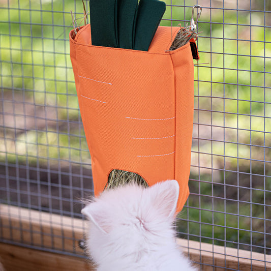 Heuraufe carrot