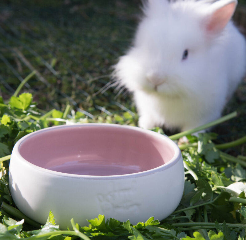 Hopplpottery bowl 5