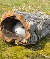 Korktunnel