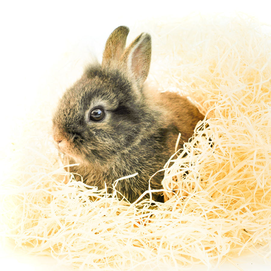 Kuschelwolle