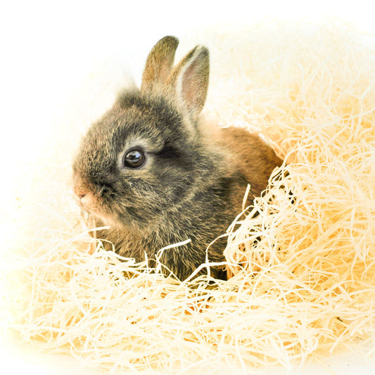 Kuschelwolle