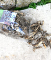 Liebstöckelwurzel
