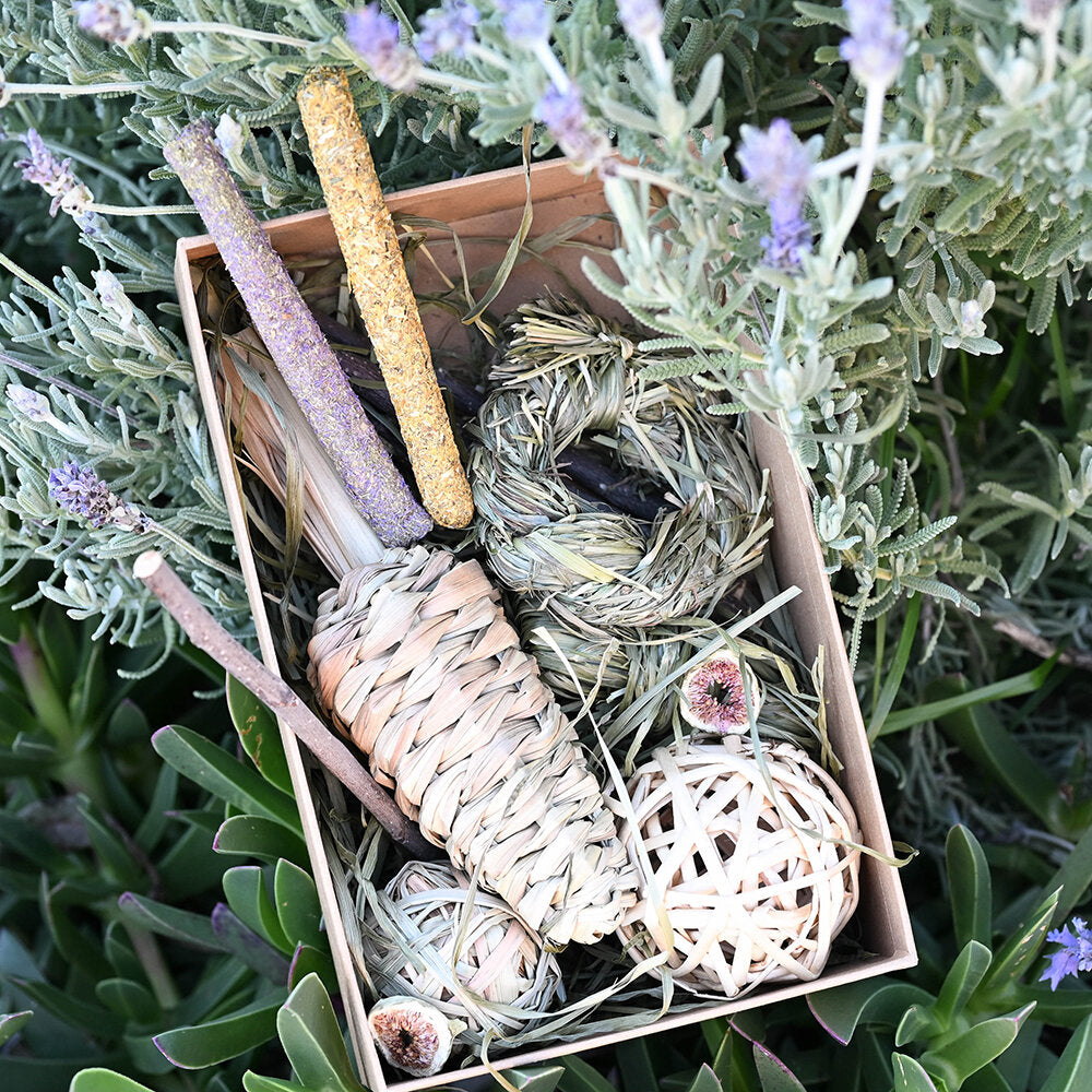 Lovely Snack Box