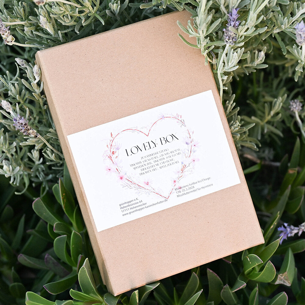 Lovely Snack Box
