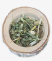 grünhopper Fenchelkraut