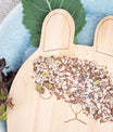 oel seeds
