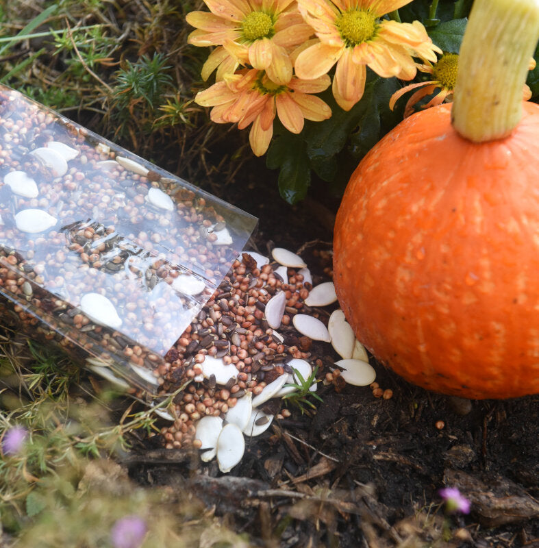 seeds autumn