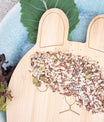seeds guinea