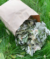 Waldschmaus