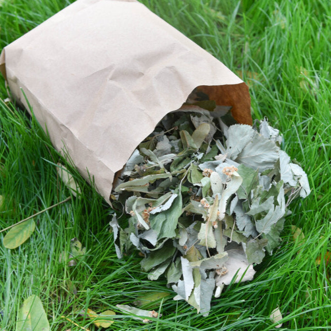 Waldschmaus