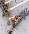 Wildblumen Trockenstrauß